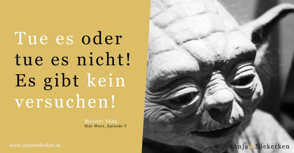 Zitat Meister Yoda